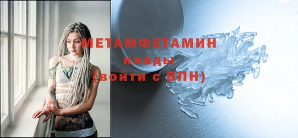 сатива Новодвинск