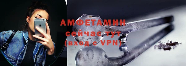 сатива Новодвинск