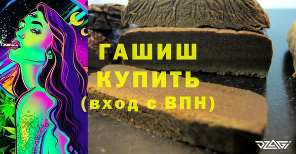 сатива Новодвинск