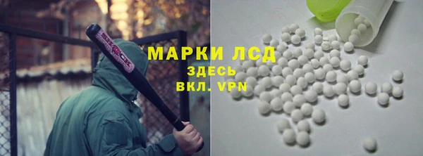 сатива Новодвинск