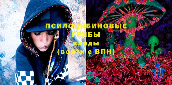сатива Новодвинск