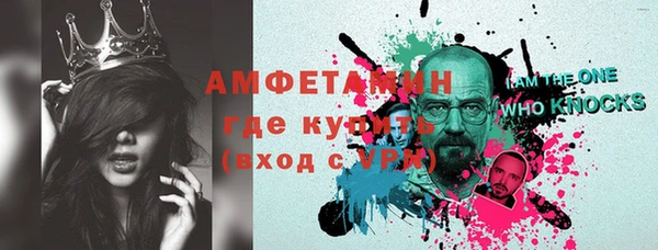 сатива Новодвинск