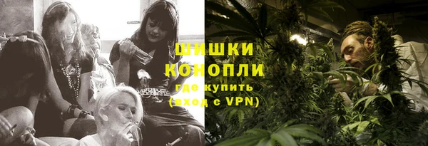 сатива Новодвинск