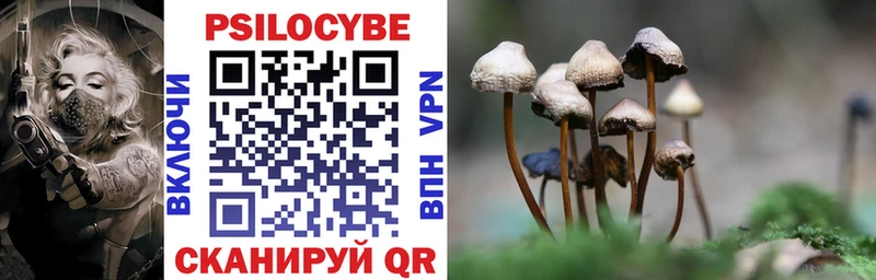 магазин    Новый Уренгой  MEGA как войти  Галлюциногенные грибы ЛСД 